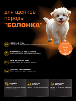 Quattro корм для щенков породы Болонка, с индейкой, 6 кг, QUATTRO