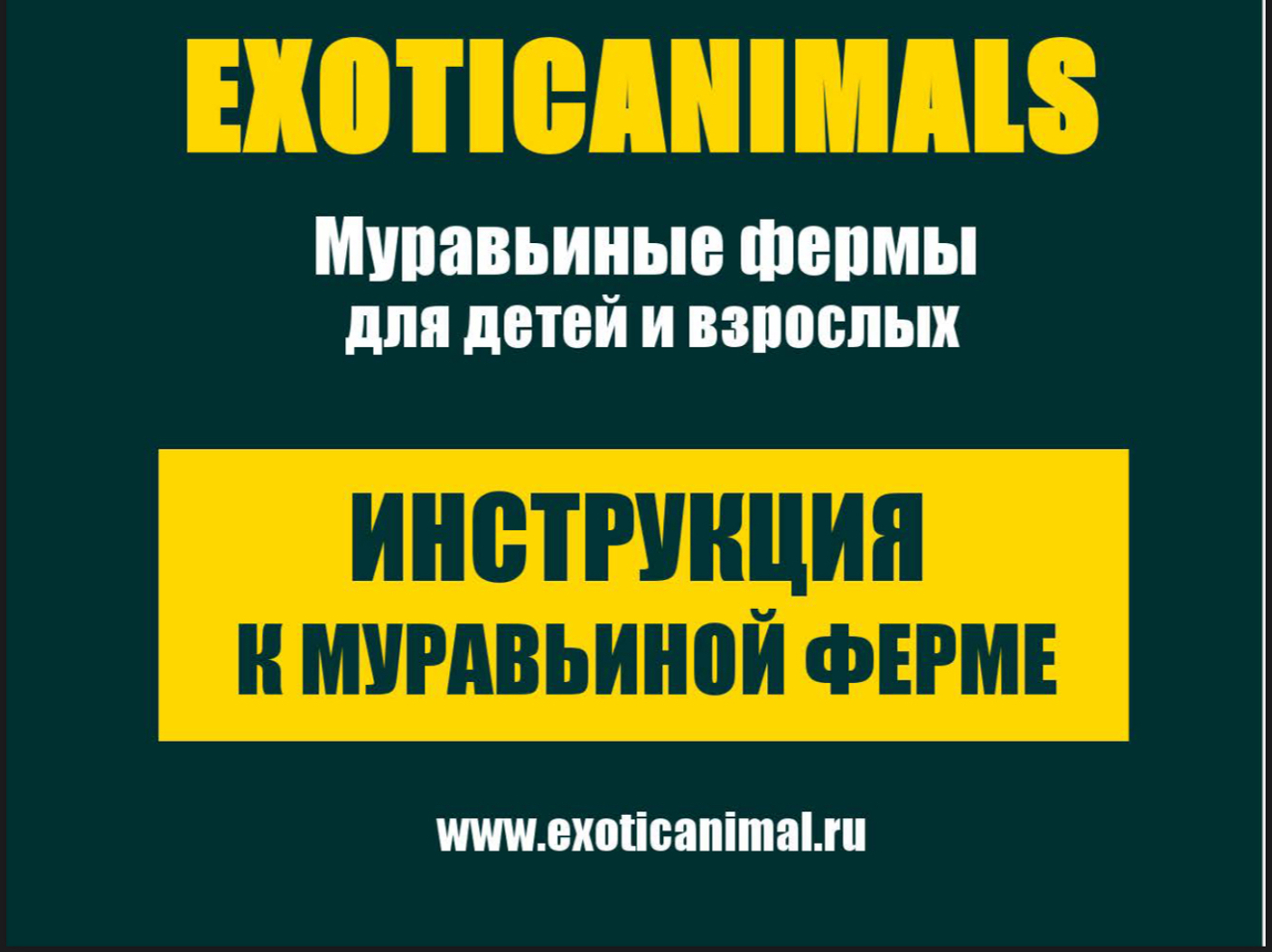 Инструкция к муравьиной фермы