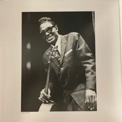 Lightnin' Hopkins - Lightnin' Strikes - (Analogue, Acoustic Sounds) LP