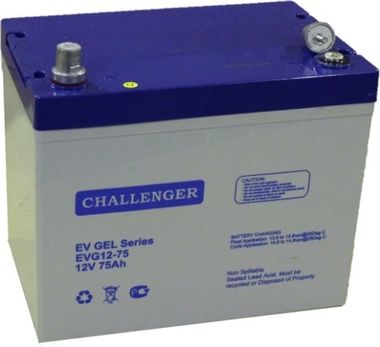 Аккумуляторы Challenger EVG12-75 - фото 1