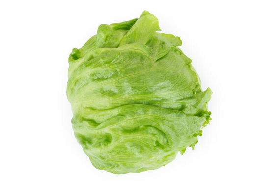 ЭВИОНАС Knox семена салата айсберга – фото 3