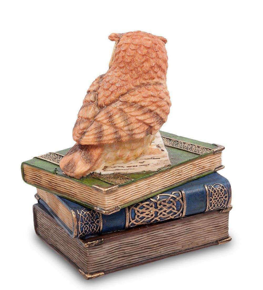 Veronese WS-719 Шкатулка «Сова на книгах»