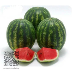 Скиф F1 семена арбуза (Sakata / Саката)