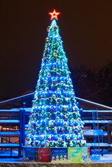 Комплект освещения Пояс Ориона для ели Уральская высотой 12 м., 10 ярусов, 229 ламп, Green Trees (Orion12)