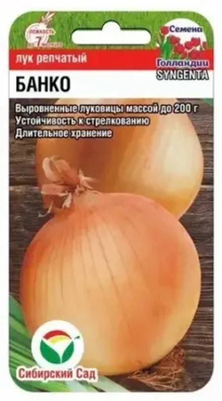 Лук репчатый Банко F1 200шт (Сиб Сад)