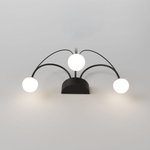 Настенный светодиодный светильник Eurosvet Ragno 90031/3 черный