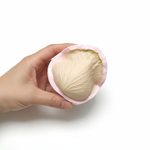 Лепесток розы XXL Мондиаль