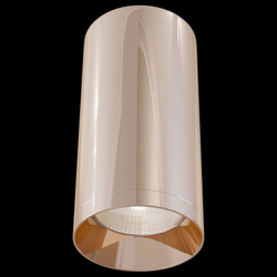 Накладной светильник Maytoni C010CL-01RG