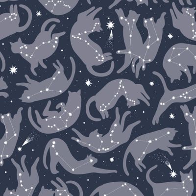 Котики созвездия