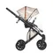 Коляска ANEX e/type 2 в 1 (et-SE04) joy