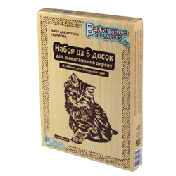 Доски для выжигания 5шт Без рисунка Для собственных идей арт 01731 (Десятое королевство)