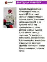 Петуния грандифлора Суперкаскад F1 Вайт