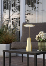 Аккумуляторная настольная лампа Eglo PICCOLA 900923