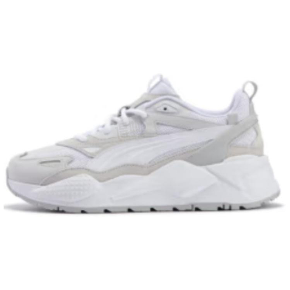 Кроссовки Puma RS-X Efekt Premium 'White Grey' 390776-35