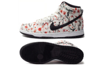 Кроссовки Nike Dunk Sb Pro (Женская размерная сетка)