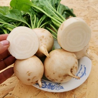 Свёкла Детройтская Белая - White Detroit Beet