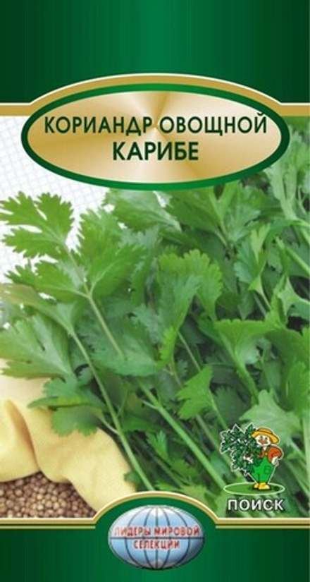 Кориандр Карибе 3г Ц Поиск