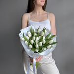 Букет из 25 белых тюльпанов