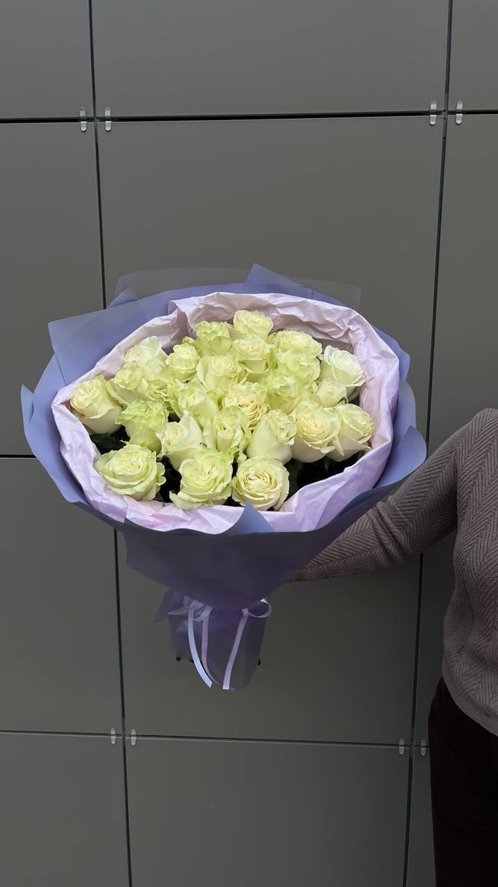 Розы Мондиаль