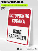 Табличка "Осторожно собака, вход запрещен" на дверь и забор, для двора, дома, подъезда, 40х30 см, Silver Plane x Айдентика Технолоджи