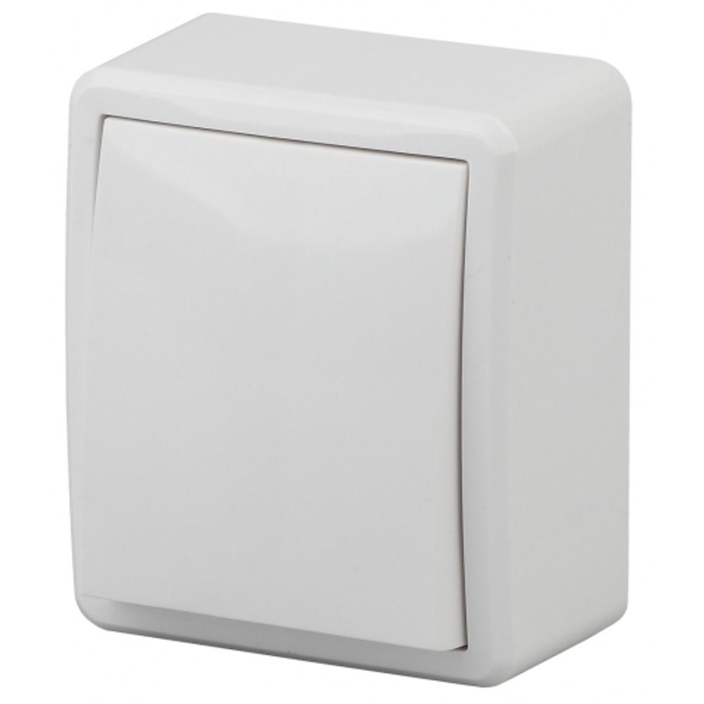 Выключатель ЭРА Эксперт 11-1201-01 10АХ-250В IP20 ОУ белый