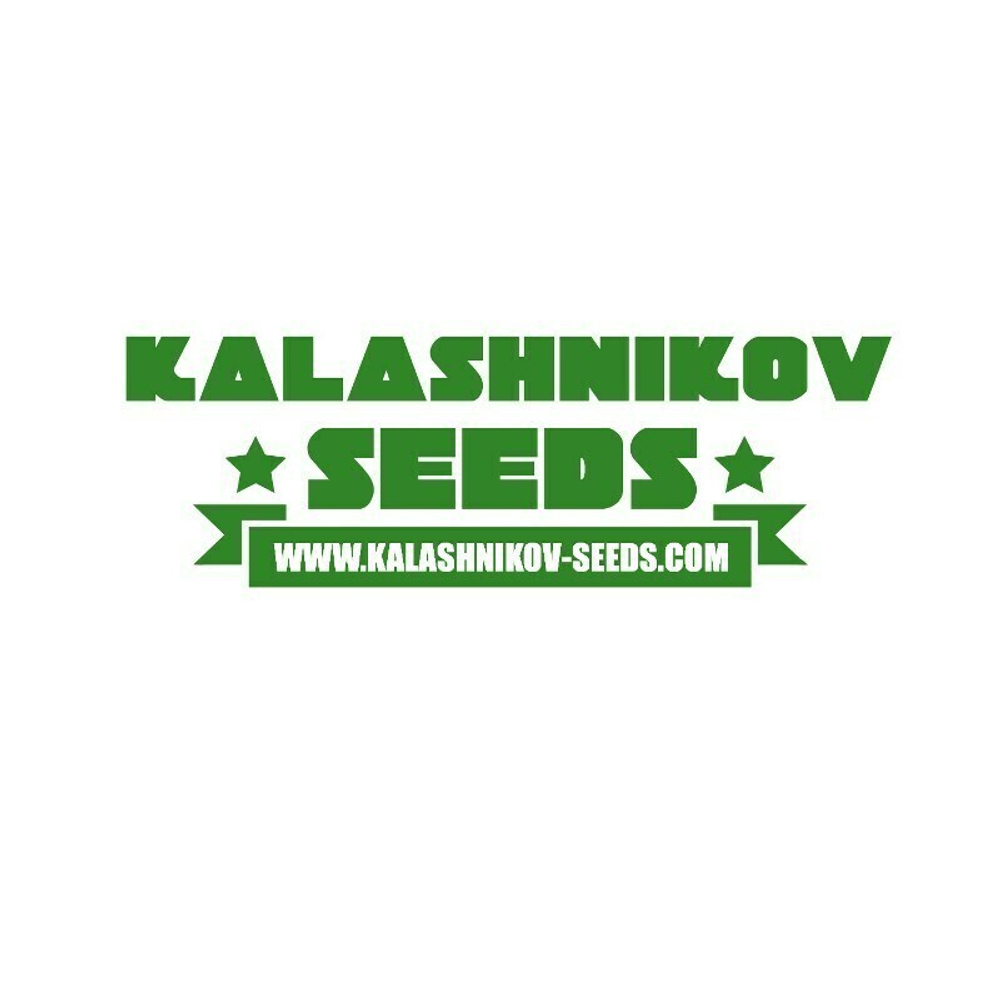 Zkittlez Kalashnikov auto