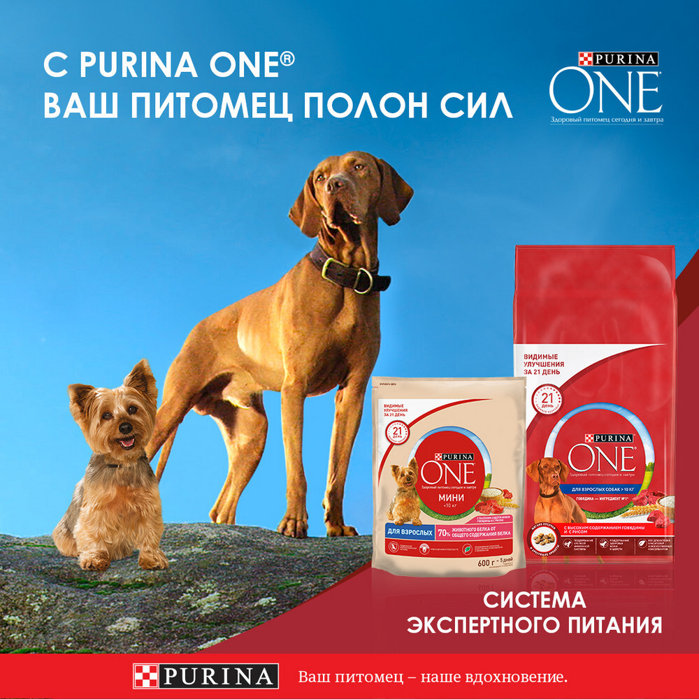 Влажный корм для собак Курица с рисом и томатами в подливе, 85г Purina ONE Мини Контроль веса