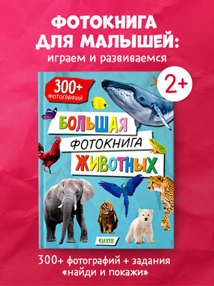 Первые книжки малыша. Большая фотокнига животных