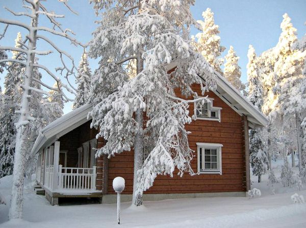 10 дел, которые нужно успеть сделать на даче в феврале