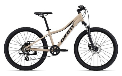 Подростковый велосипед Giant XtC JR Disc 24 (2022)