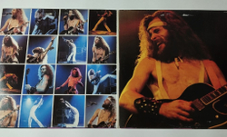 Винтажная виниловая пластинка LP Ted Nugent Double Live Gonzo (Holland 1978)