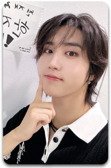 Карта / STRAY KIDS #1430
