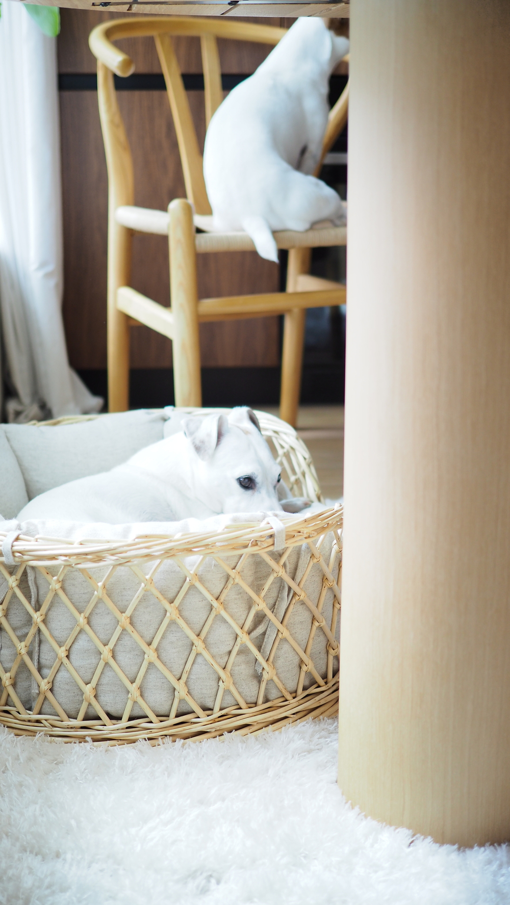 Лежанка из лозы "Пони-Набалкони"