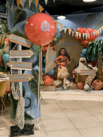 Moana and Madagascar Penguins Party