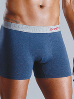 Классические боксеры