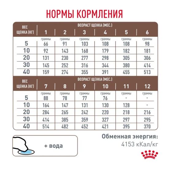 Royal Canin Gastro Intestinal Диета для щенков при нарушениях пищеварения 2,5 кг Royal Canin Gastro Intestinal Диета для щенков при нарушениях пищеварения 2,5 кг
