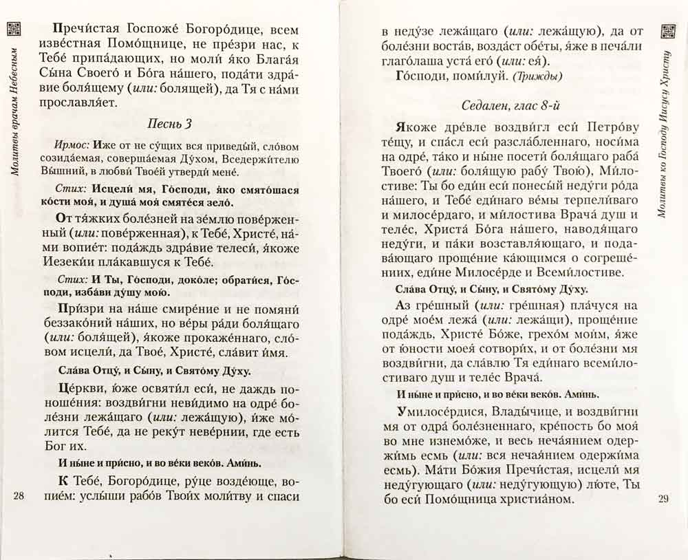 Молитвы врачам небесным. Как молиться болящим и о болящих.