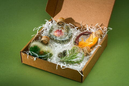 Набор Хвойный