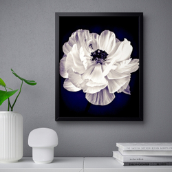 IKEA BILD  (ИКЕА БИЛД)  -  Плакат, лютик, 40x50 см