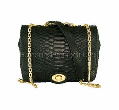 Сумка из кожи питона CL-166