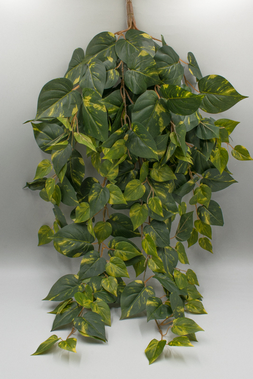 Куст эпипренум 90см пёстрый Артикул: 5121