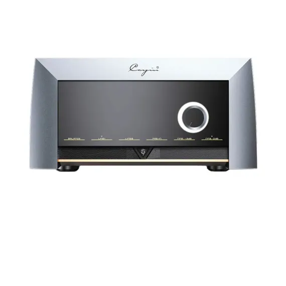 Cayin M-845I