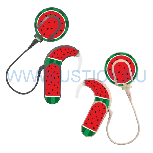 SONNET2 "Арбуз"