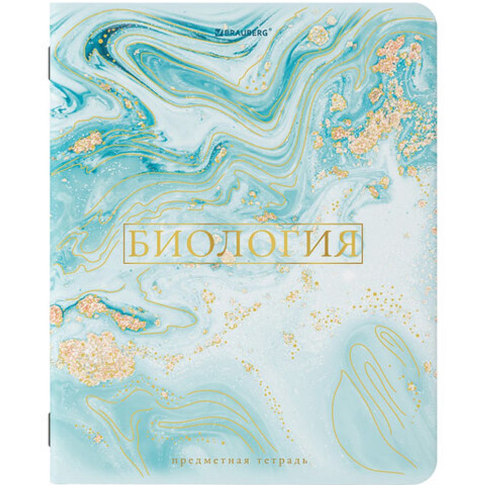 Тетради предметные, КОМПЛЕКТ 10 ПРЕДМЕТОВ, "PASTEL", 48 л., SoftTouch, фольга, 70 г/м2, BRAUBERG, 404031