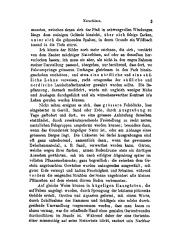 Die Felsen in Gärten Und Parkanlagen | Rudolf Geschwind