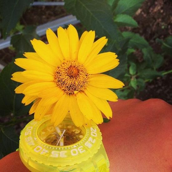 Наручные часы Swatch SUUJ101