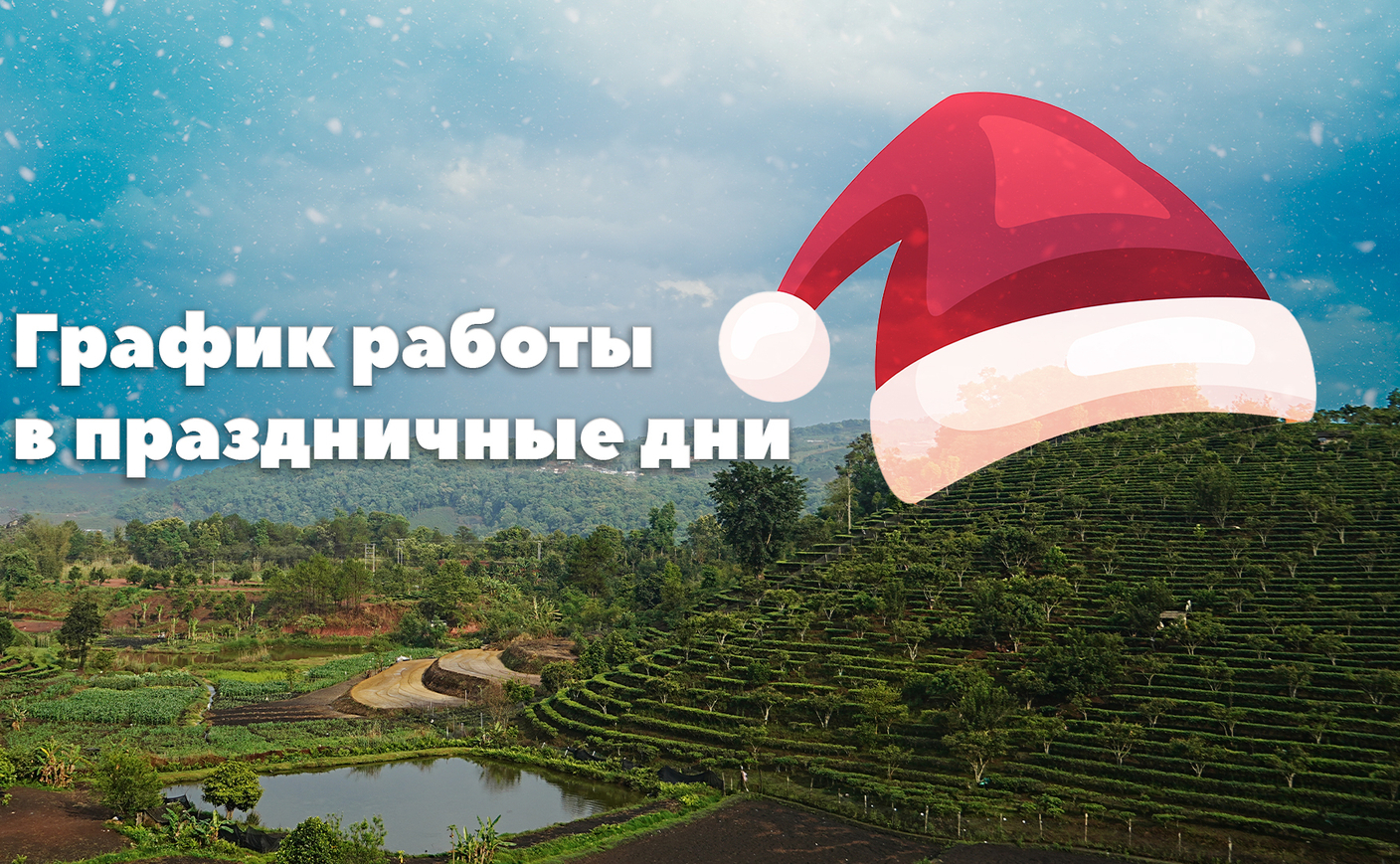 Наш график работы в праздничные дни: