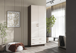 Дуэт Шкаф 2х дверный