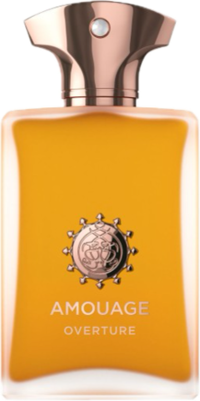 Amouage Overture Man EDP 100 ml
