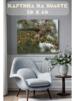 Картина на стену 40 X 50 Сокол